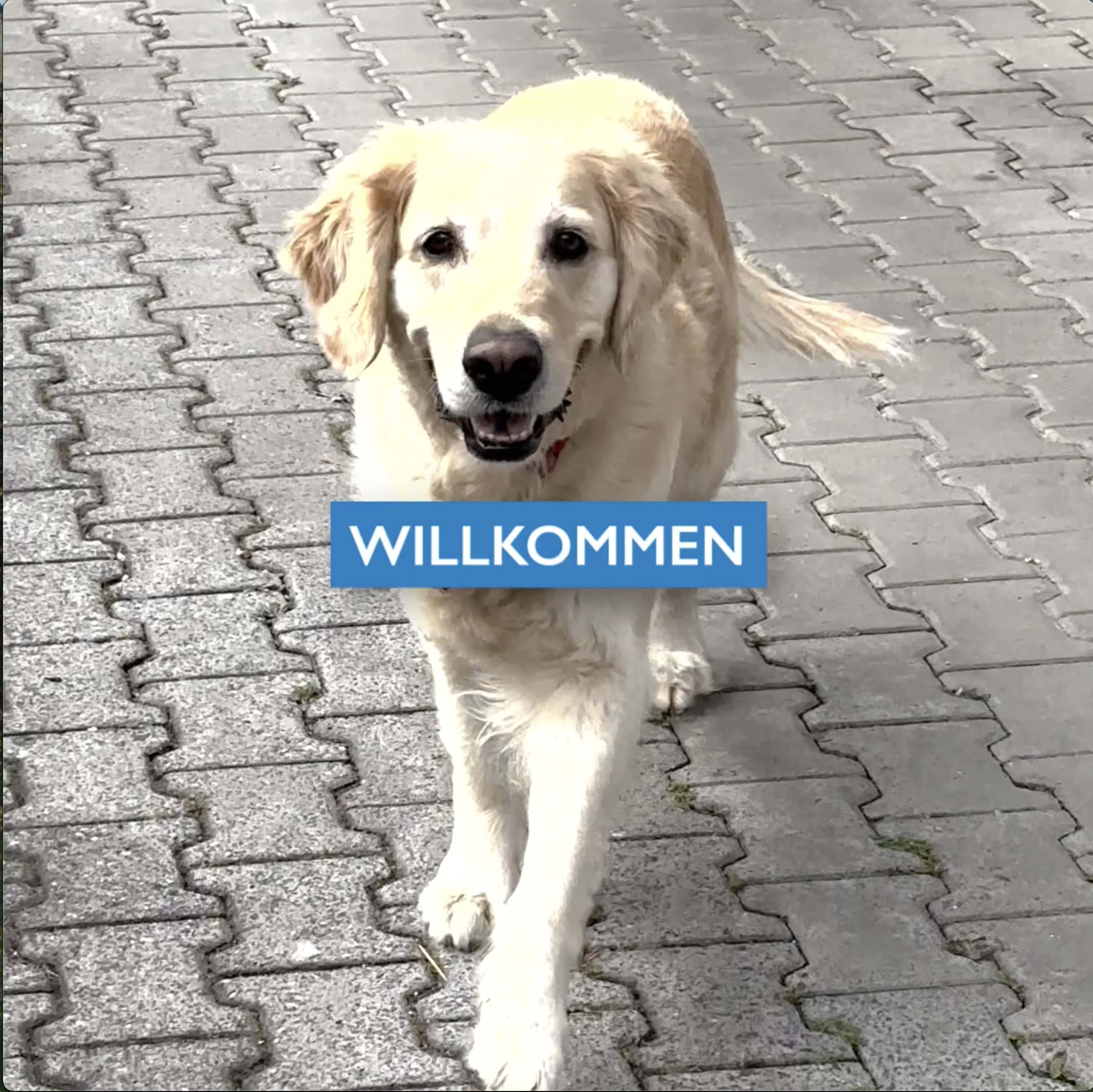 Komm ins Team Teil 3